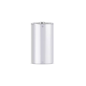 Varta DEM-361-P Pila alcalina de 1,5V /1,5 Ah