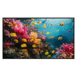 Hikvision DS-D6043UH-DP Monitor digital signage 43" 4K - Cartelería digital local USB - Cartelería digital