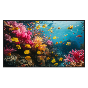 Hikvision DS-D6050UH-DP Monitor digital signage 50" 4K - Cartelería digital local USB - Cartelería digital