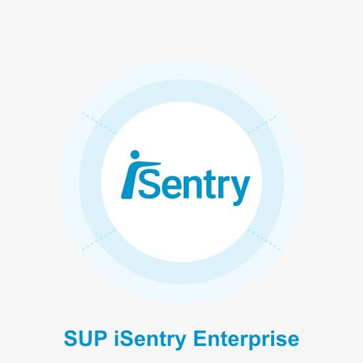 Eluviant IS-ENTP-SEU-SUP12 Plan de asistencia técnica y actualización de software para 12 meses en Enterprise