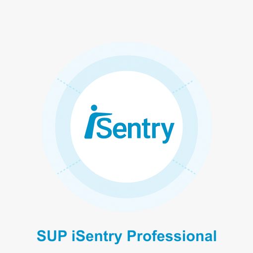 Eluviant IS-PRO-SEU-SUP12 Plan de asistencia técnica y actualización de software para 12 meses en Professional