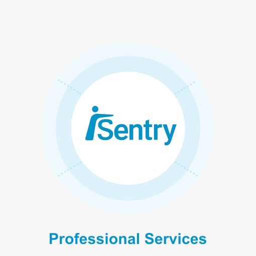 Eluviant IS-SERV-SEU Servicios profesionales por día para configuración y puesta en marcha del sistema